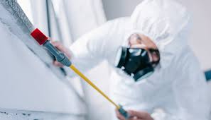 Pest Control for Hotels in Berkeley, IL